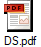 DS.pdf